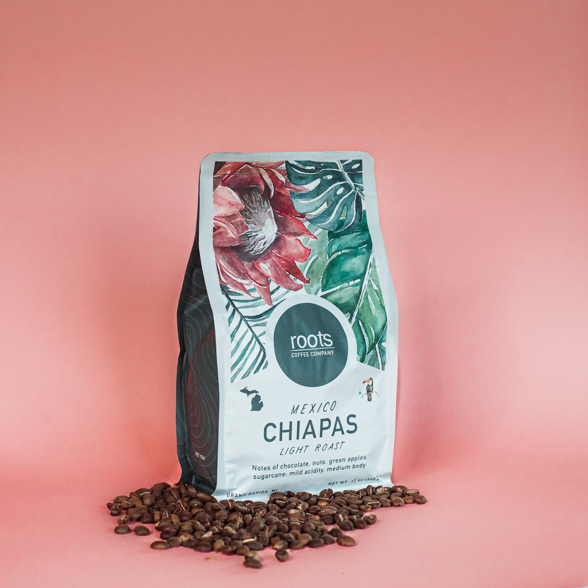 新品タグ付き Buena Vista スタジャン VIVAN LOS ROOTS Mexico Chiapas (12 oz) – Roots Coffee Company