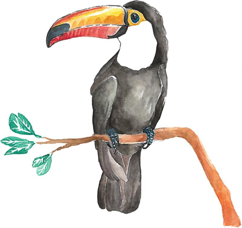 Drip Coffee Maker with a Toucan from Costa Rica, 'Toucan Make Coffee