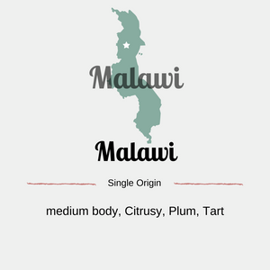 Malawi Peaberry